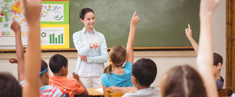 online Diploma in Primary Teacher Training PTT