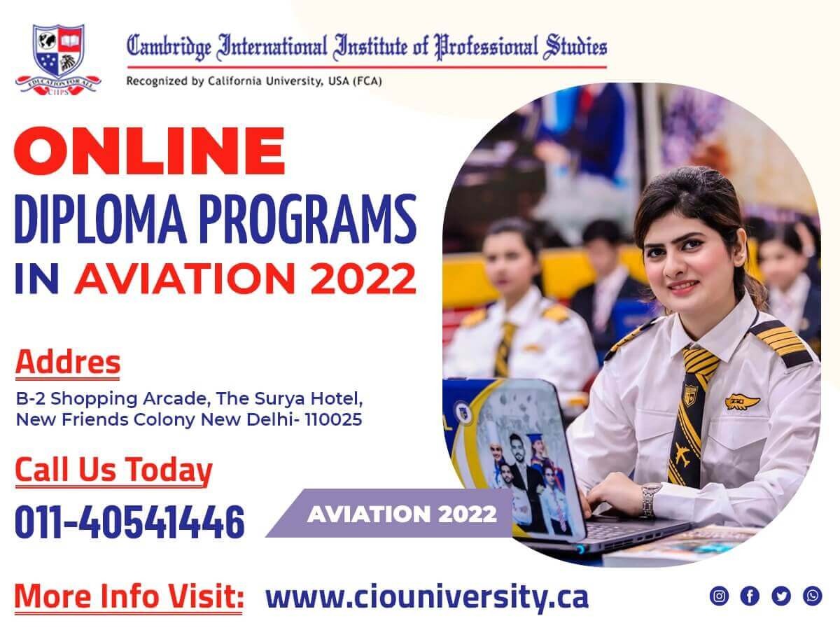 Cio university offering online professional diploma courses